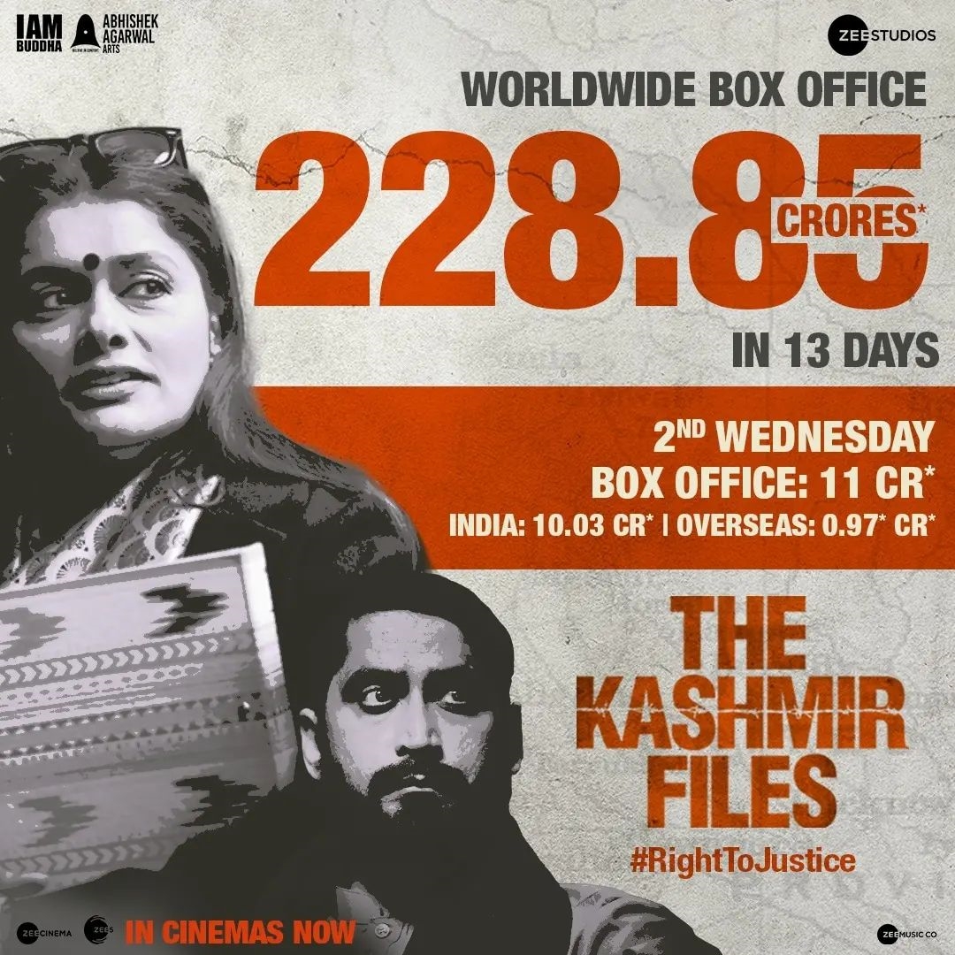 kashmir files collection