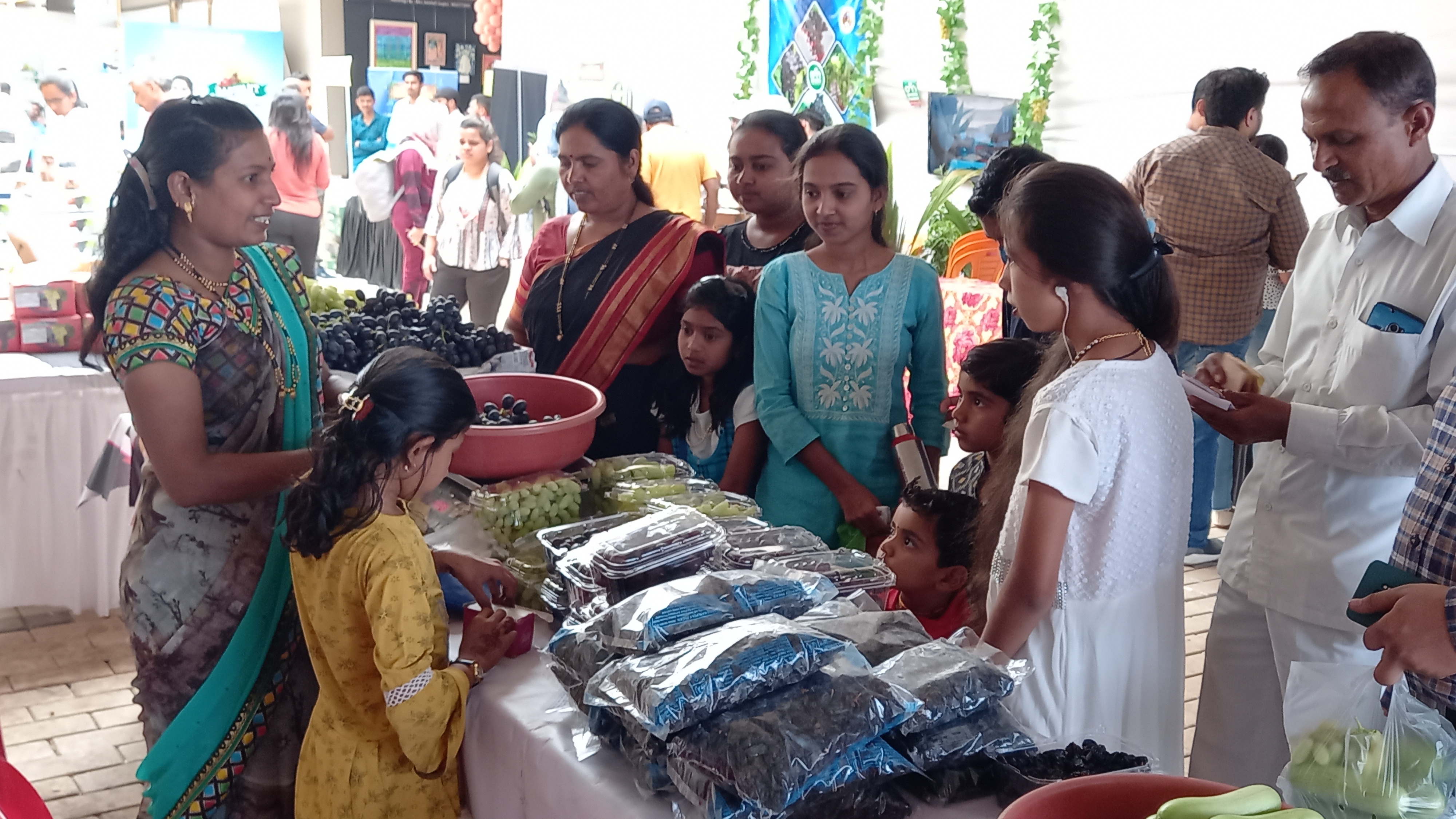 Nashik Grapes Festival