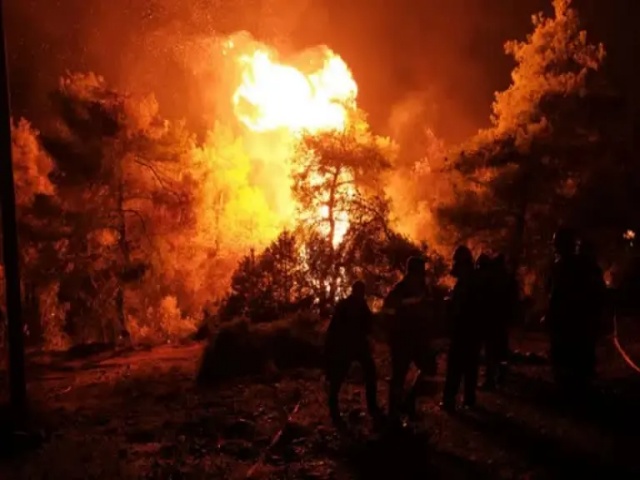 Sariska Tiger Reserve Forest Fire