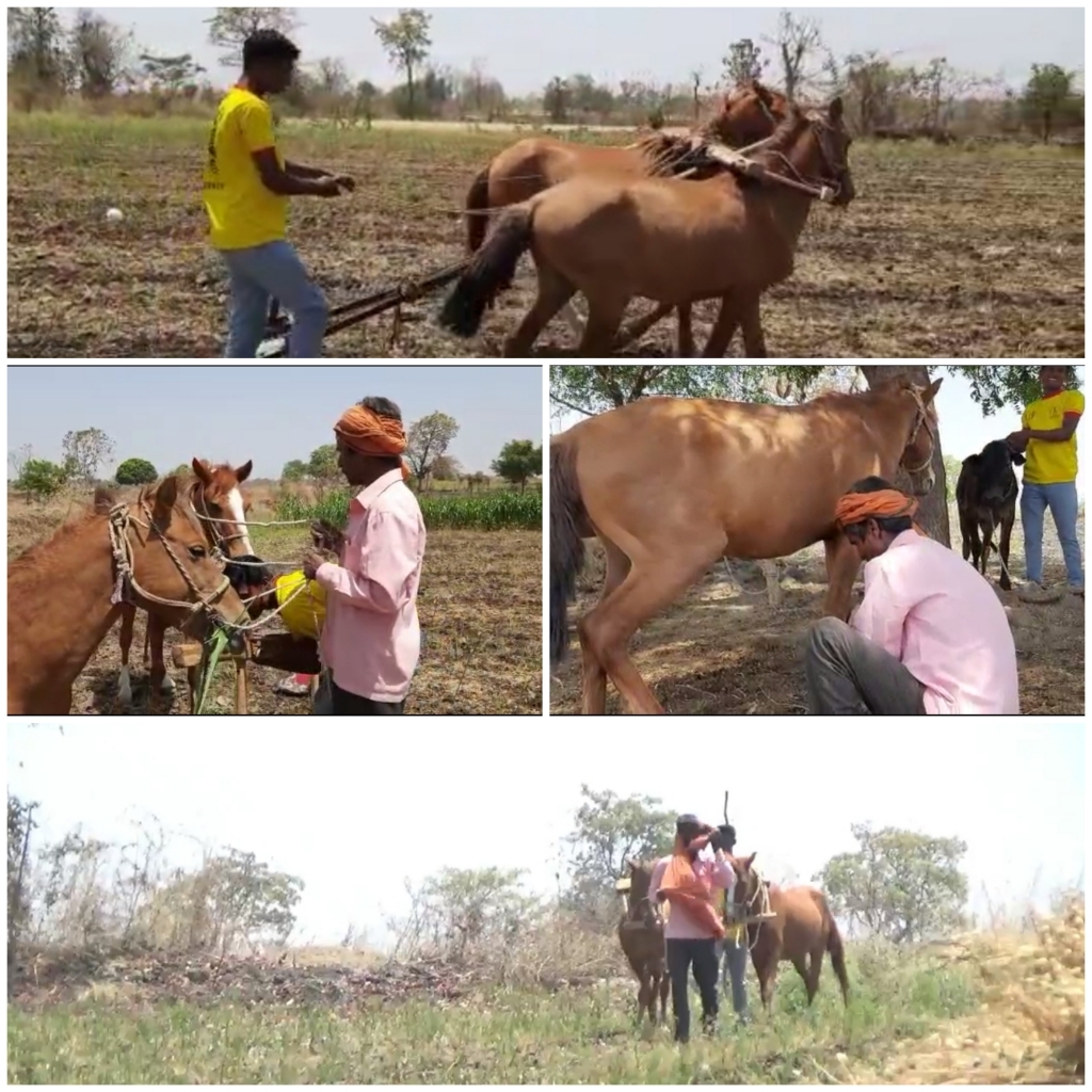 ಕೃಷಿ ಕಾರ್ಯಕ್ಕೆ ಅಶ್ವಮೇಧಗಳನ್ನು ಕಟ್ಟಿದ ರೈತ..