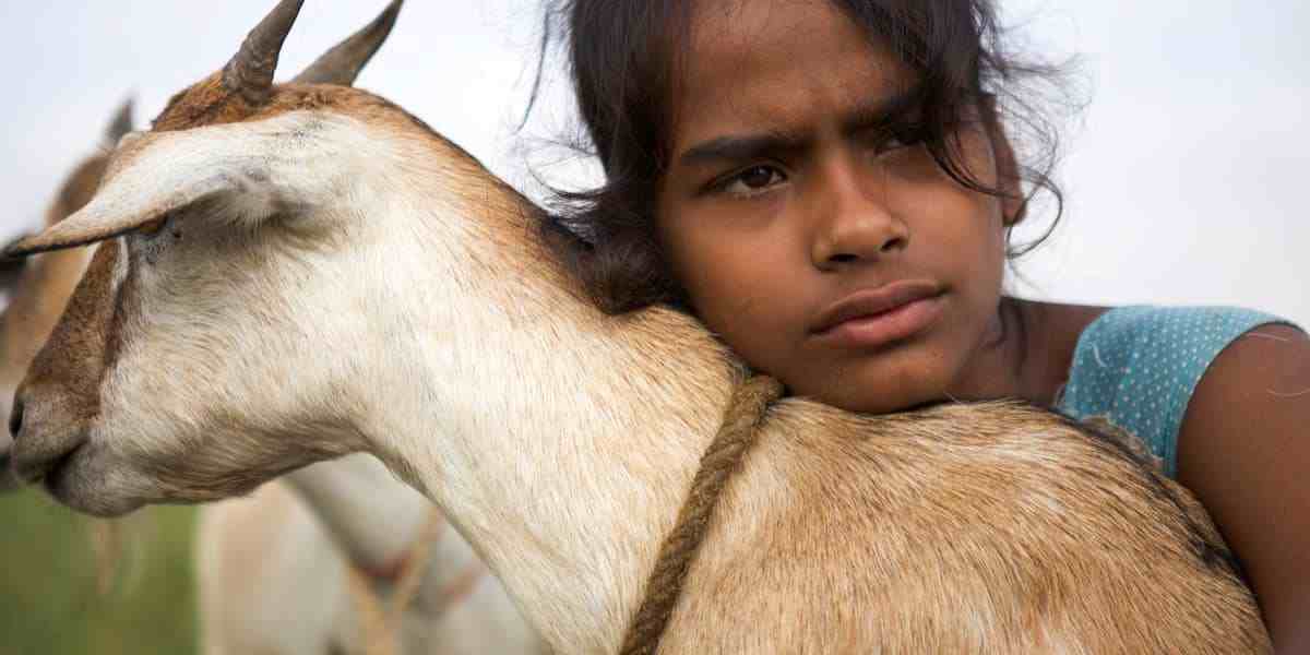 Village Rockstars cast