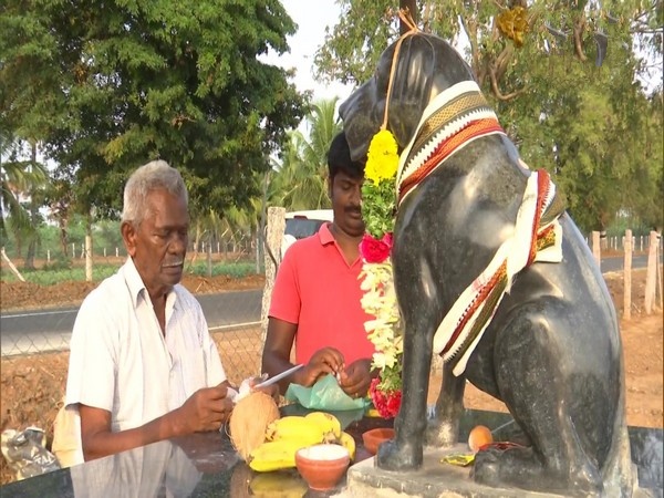 Dog Temple in Tamil Nadu