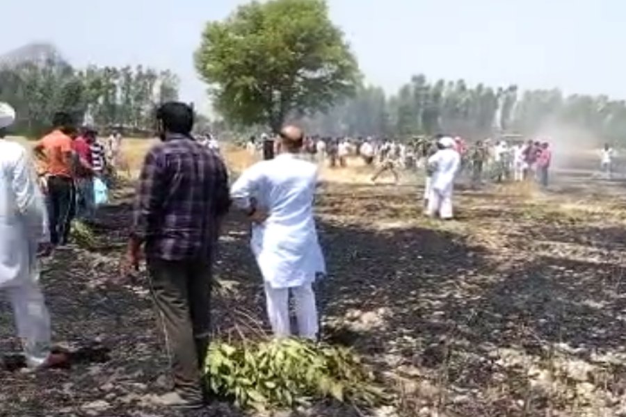 fire in wheat crop in rohtak