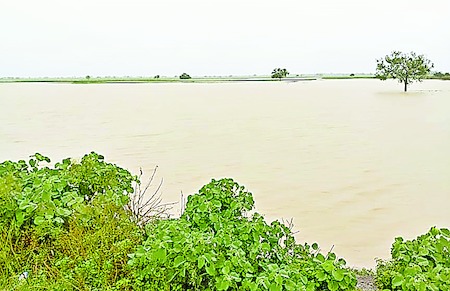 rains at guntur district