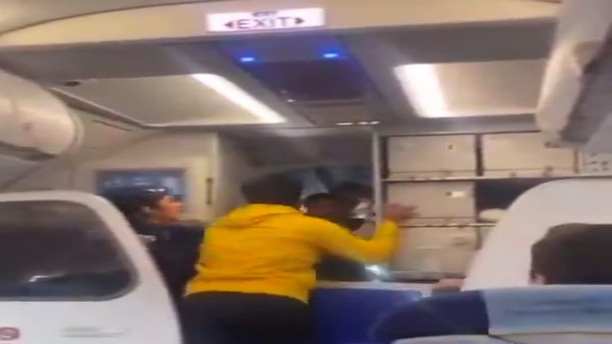 Passenger hits Indigo Captain