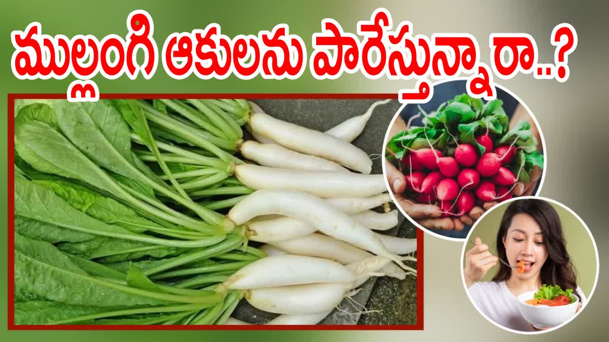 Radish Leaves Health Benefits