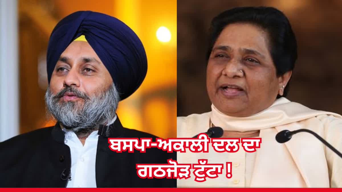 SAD BSP Alliance Update