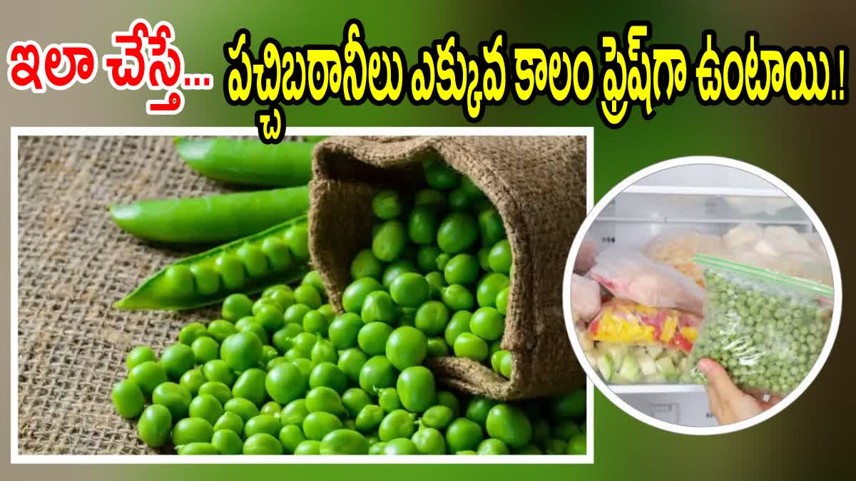 Green Peas Storage Tips For Long Time