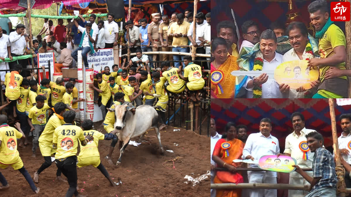 Avaniyapuram Jallikattu