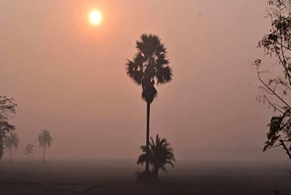 মকর সংক্রান্তিতে শীতের ছক্কা