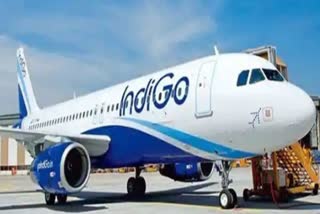 Passenger Hits IndiGo Pilot
