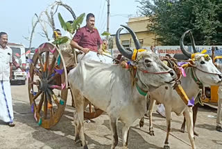 Samathuva Pongal celebrate at tenkasi