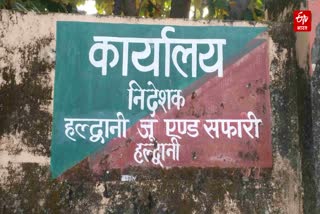 Budget released for Haldwani Zoo