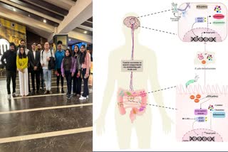 IIT Indore Research on Gut Bacteria and Alzheimers disease