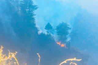 fire-broke-out-at-forest-area-in-mandi-poonch
