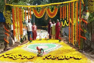 Sankranti special muggu