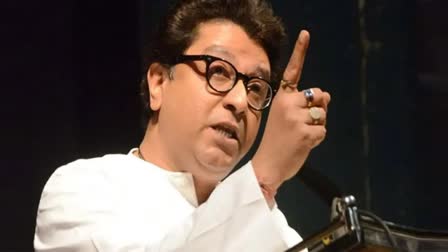 Raj Thackeray on Raigad Land