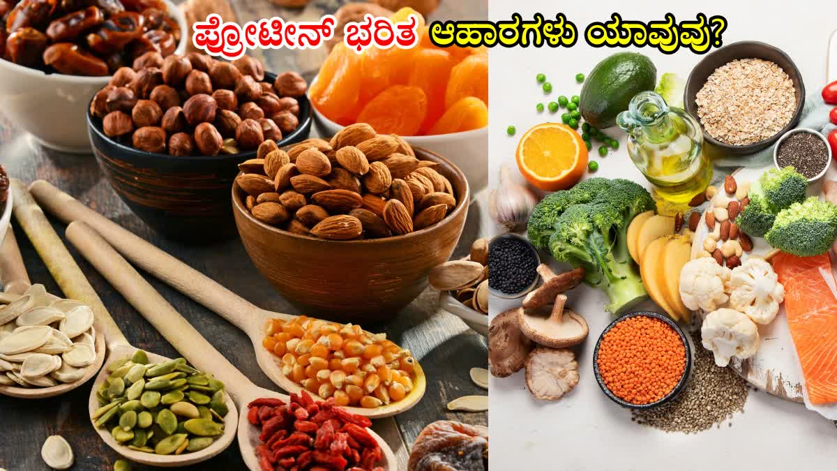 PROTEIN RICH FOOD VEGETARIAN  PROTEIN RICH FOOD  VEGETARIAN FOOD SOURCES OF PROTEIN  PROTEIN RICH VEGETARIAN FOOD