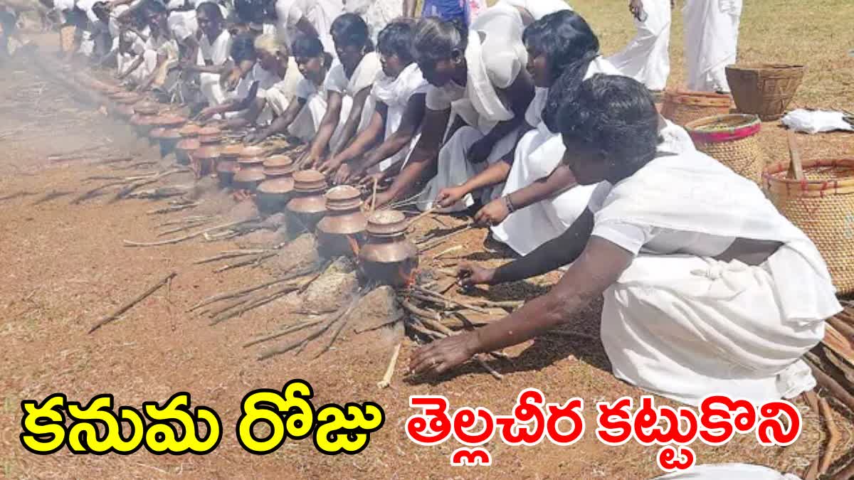 Sankranti Celebrations in Tamilnadu