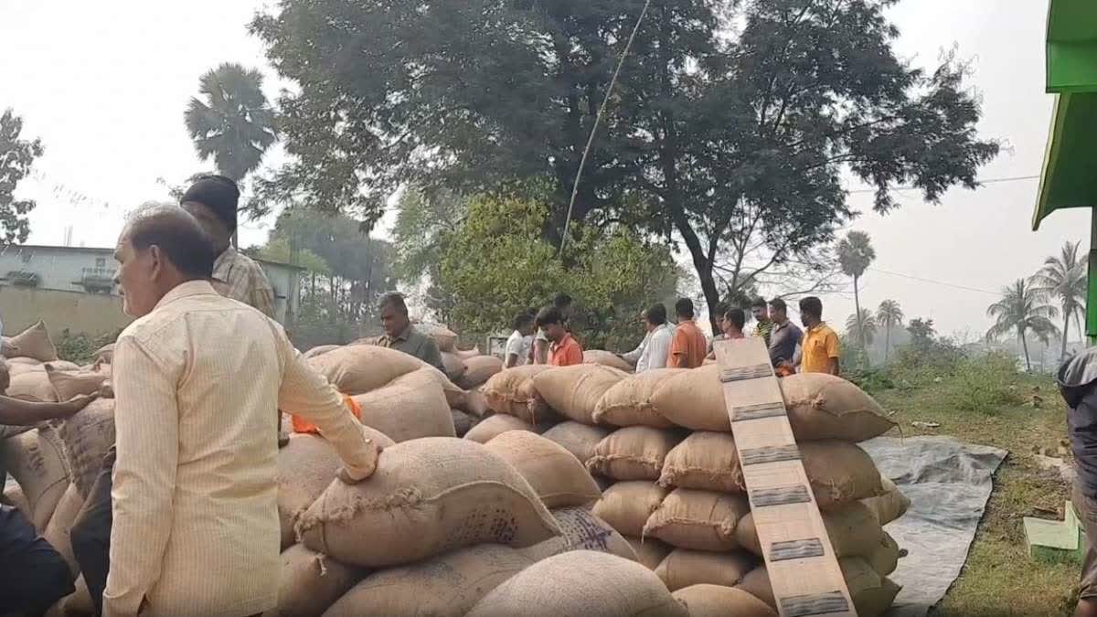 Paddy procurement in Angul