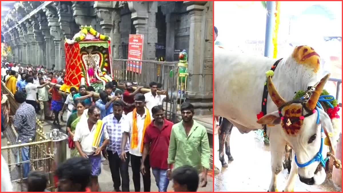 Kanuma Festival Celebrations in State