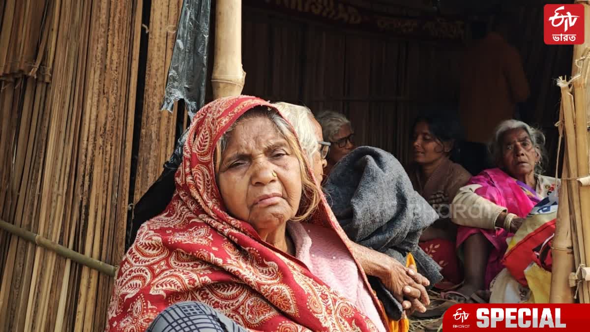 Gangasagar mela