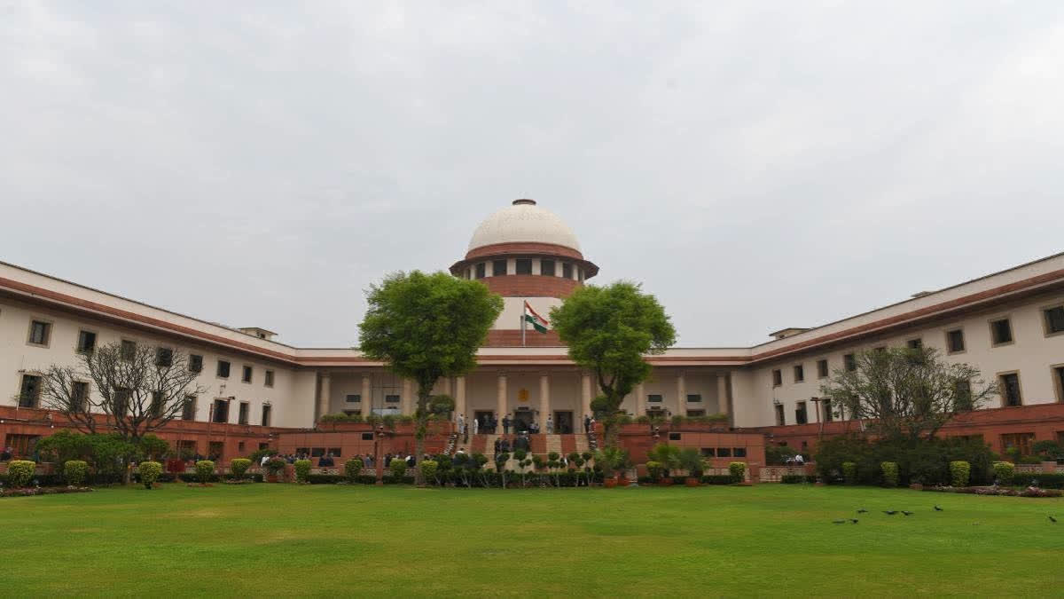 The top court halted the Bihar legislative council by-election result for Sunil Kumar Singh's seat, as it reviews his expulsion case for disruptive behaviour.