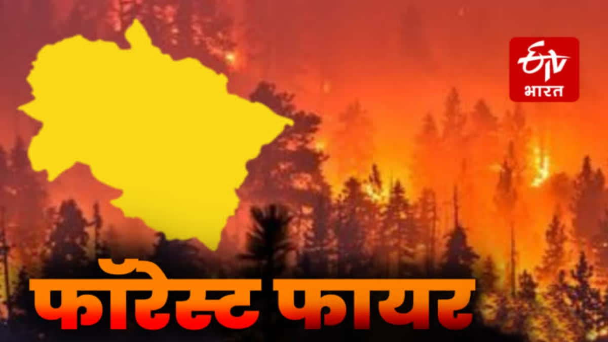 forest fire in Uttarakhand