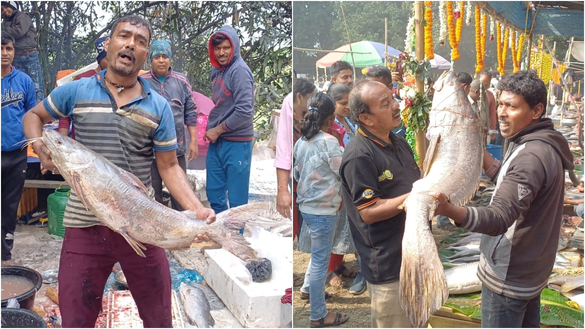 Macher Mela in Bandel