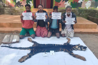 Four persons arrested for poaching melanistic tiger in Odisha's Similipal