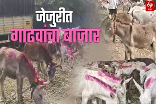 Donkey Market in Jejuri Pune