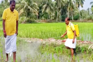 Nimmala Ramanaidu in Farming