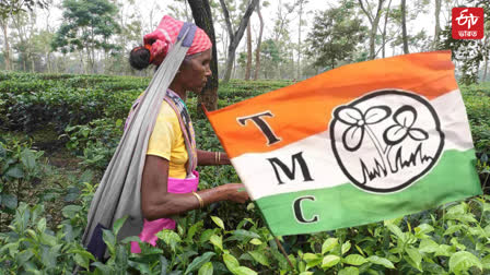 NORTH BENGAL TEA GARDEN AREA