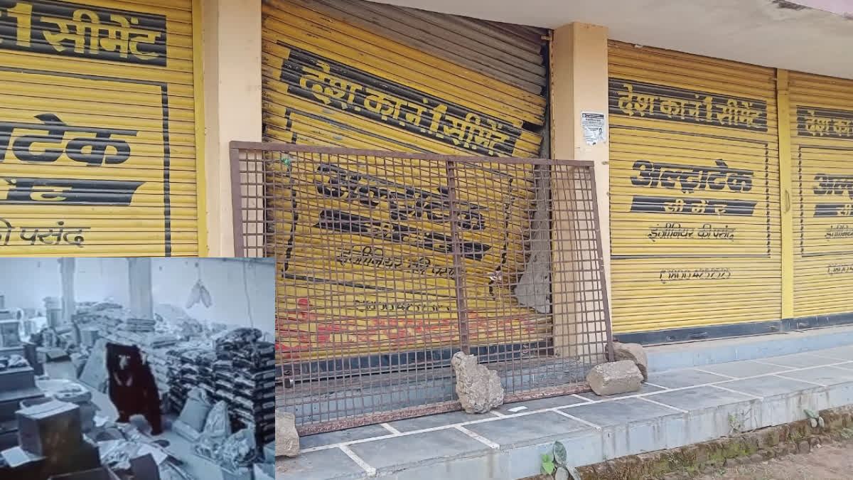 Bear Broke Shutter Of Shop