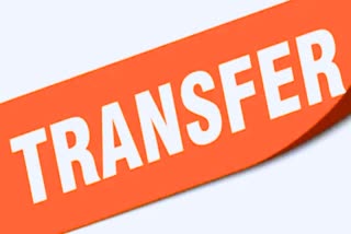 IPS Transfer MP