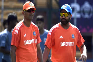 Rahul Dravid  Indian Cricket Team Coach  T20 World Cup 2024  ജയ്‌ ഷാ രാഹുല്‍ ദ്രാവിഡ്  ടി20 ലോകകപ്പ് ഇന്ത്യന്‍ പരിശീലകന്‍