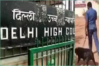security increased after delhi high court received bomb threat