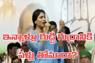 APCC_Chief_YS_Sharmila_Fire_on_CM_Jagan