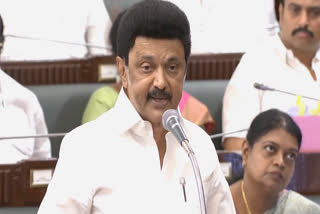 CM Stalin said in all castes to be priests scheme that equality has enter to Garbhagraha