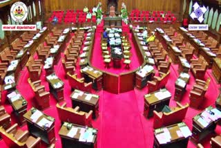 Legislative Council