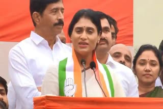 APCC Chief YS Sharmila Fire on CM Jagan