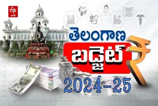TS Vote on Account Budget 2024