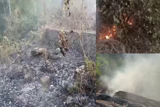 റബ്ബർ തോട്ടങ്ങൾ കത്തി നശിച്ചു  Fire Caught In Rubber Estate  Rubber Estate Fire  റബ്ബർ തോട്ടത്തില്‍ വന്‍ തീപിടിത്തം