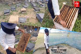 Youth from outside become self-reliant in Assam by beekeeping