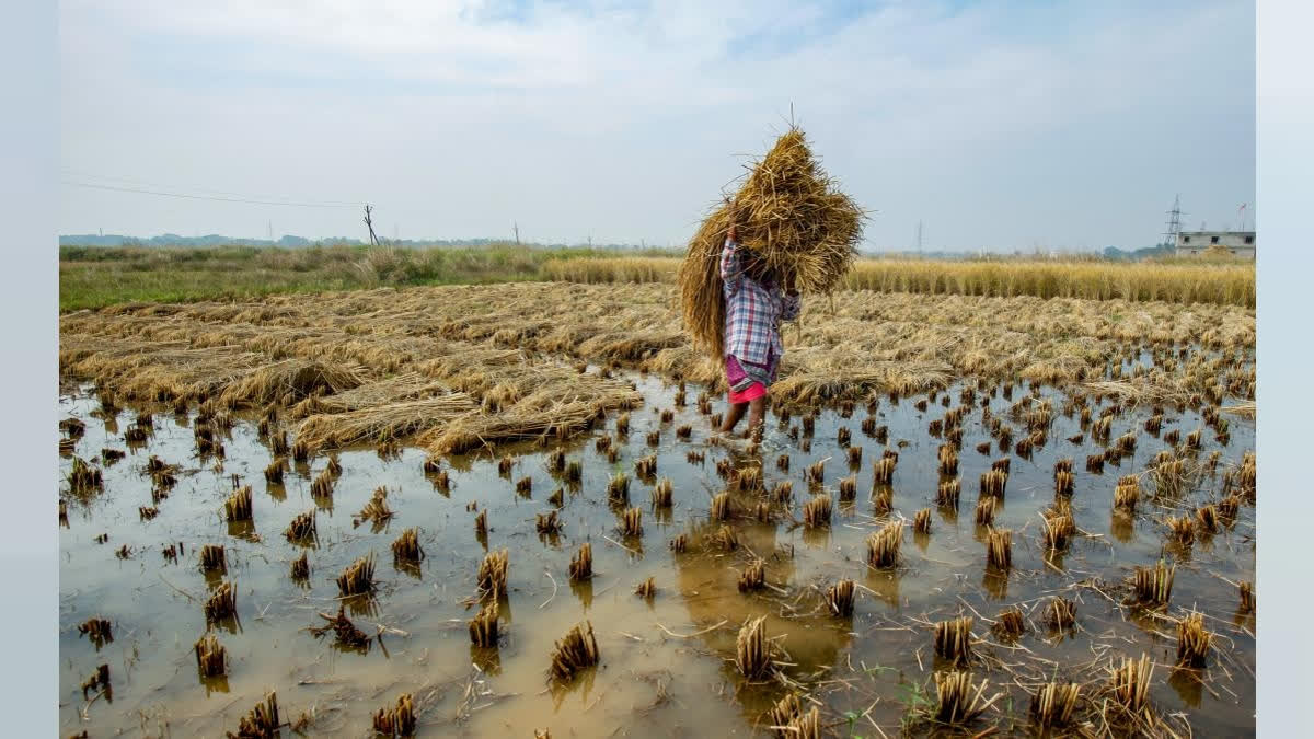 A Mechanism To Confer Right To Price By Farmers