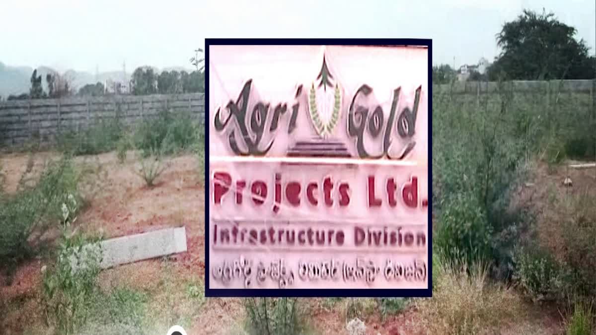 AGRIGOLD ASSETS SEIZED BY AP GOVERNMENT