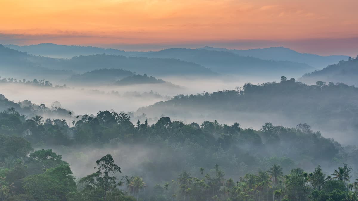 BEST HILL STATION TOURISM SPOTS  MUNNAR CLIMATE SHIVER WITH COLD  MUNNAR TOURISM  BEST TIME TO VISIT MUNNAR