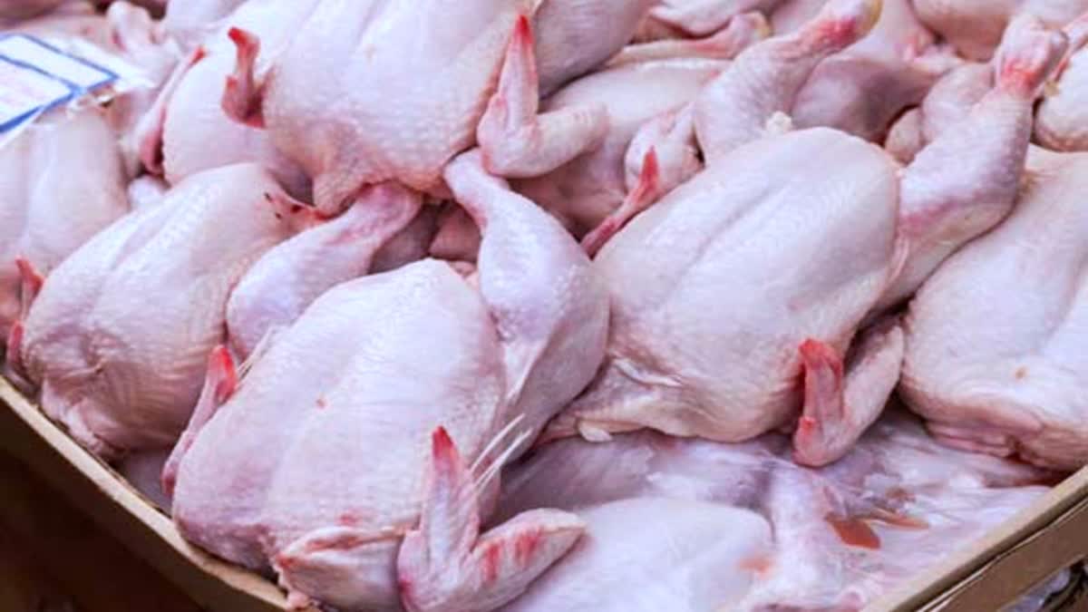 Protective Measures Against Bird Flu