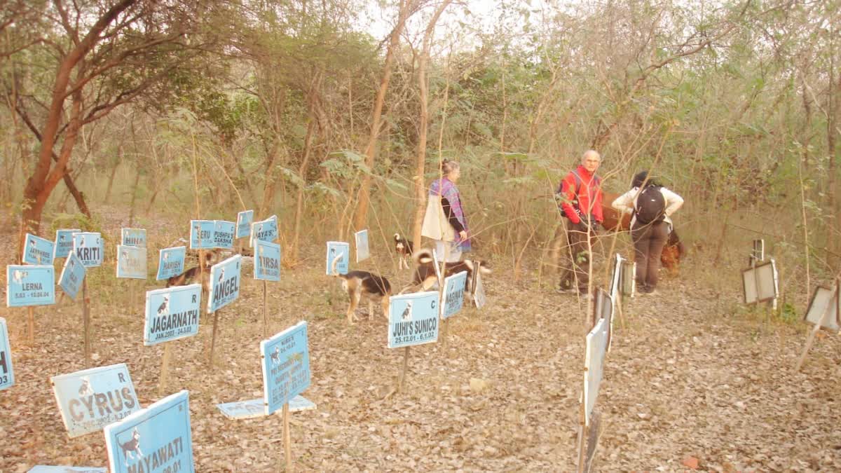 dog cemetery IN GAYA