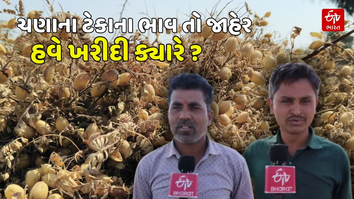 ચણાના ટેકાના ભાવ માટે પોર્ટલ પર રજીસ્ટ્રેશન શરૂ કરવા સુરેન્દ્રનગર પંથકના ખેડૂતોની માંગ